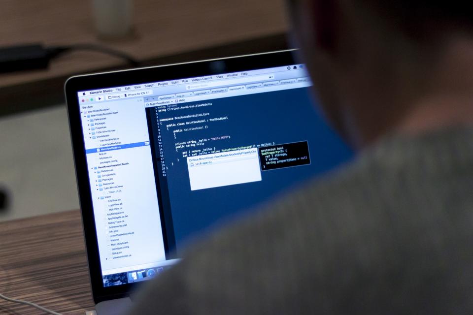 programmer at work
