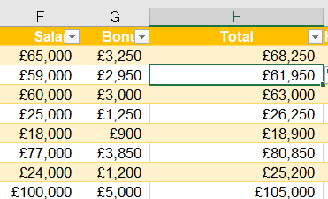 excel formatting screen 8