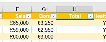 excel formatting screen 10