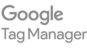 Google Tag Manager Icon